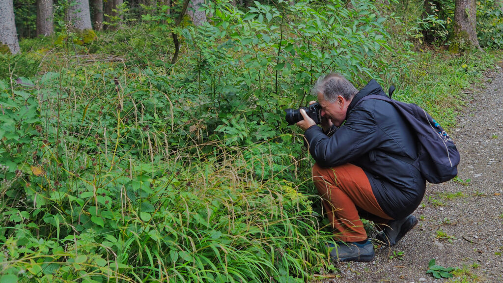 Aufmerksamkeit in der Natur